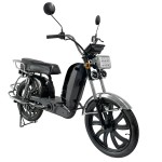 Factory 22 Inch Household Electric Bike 800W Delivery Dual Spring shock absorption Electric Motorcycle 60V Lithium Battery